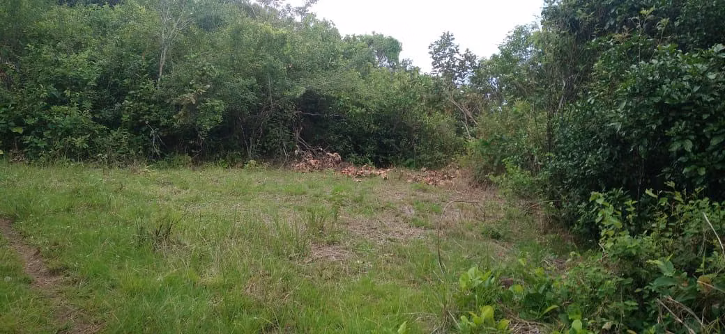 Venta de Finca en La Gallinaza, Calobre 76 Hectáreas