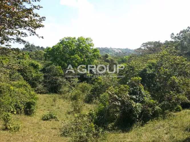 San Vicente - Chilibre - Se Vende Terreno Comercial - Imagen 5