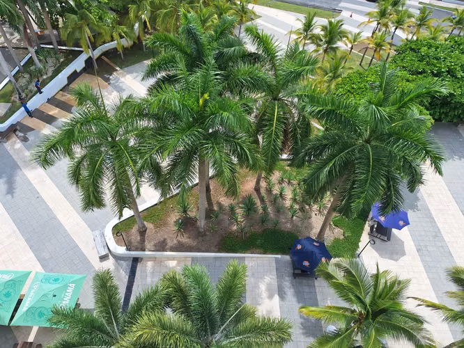 Estudio con Impresionantes Vistas a la Laguna en Playa Blanca Town Center