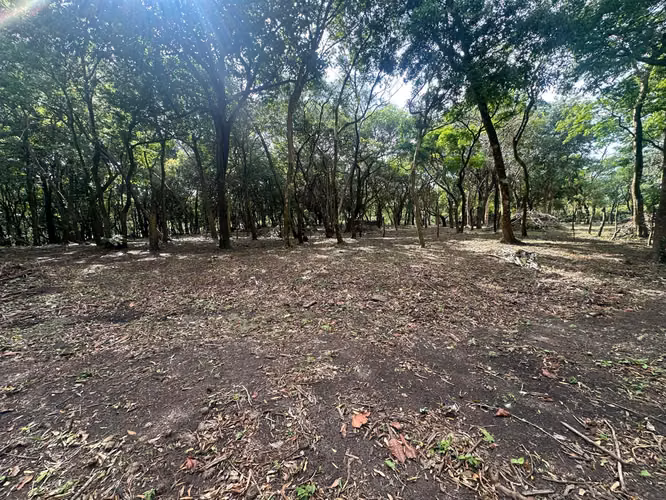 Venta de Terrenos en el Valle, Calle del Níspero, 2500m2