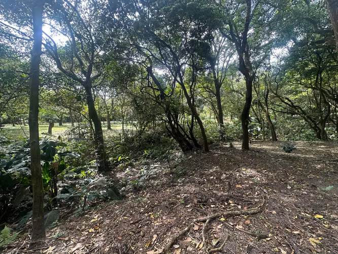 Venta de Terrenos en el Valle, Calle del Níspero, 2500m2