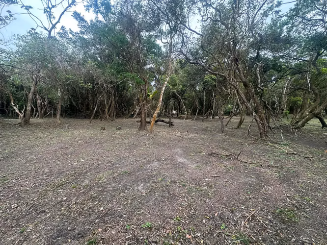 Venta de Terrenos en el Valle, Calle del Níspero, 2500m2