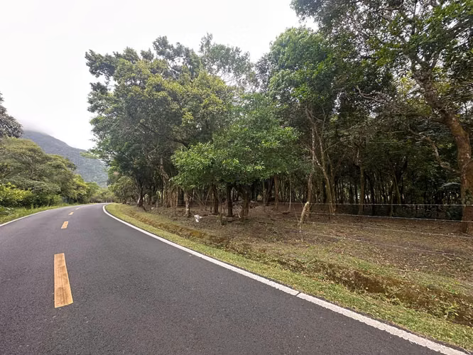Land for sale in the Valley, Calle del Níspero, 6000m2