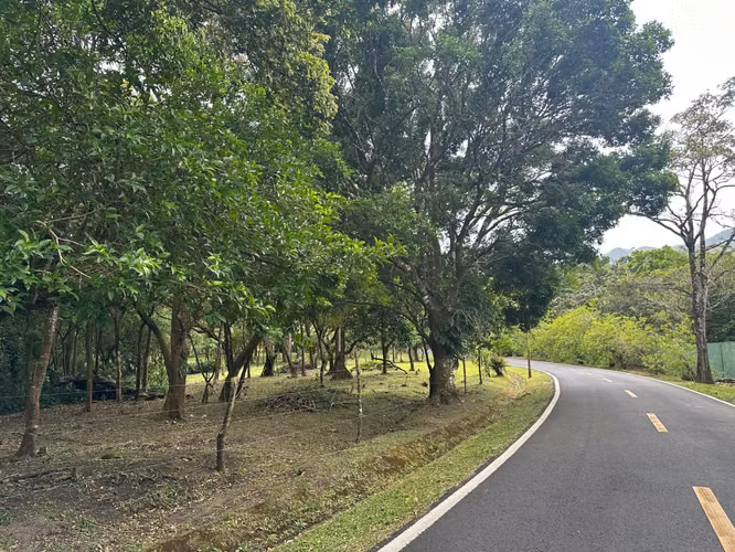 Venta de Terrenos en el Valle, Calle del Níspero, 6000m2