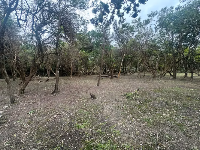 Venta de Terrenos en el Valle, Calle del Níspero, 6000m2