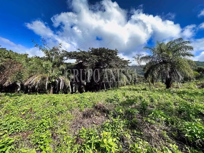 Oportunidad! Se Vende Hermoso Terreno en Altos del Maria