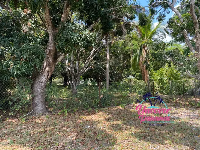 Se vende Terreno en Santa Clara