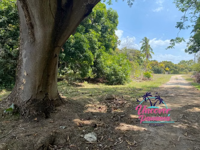 Se vende Terreno en Santa Clara