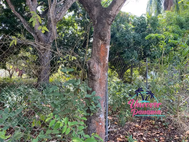 Se vende Terreno en Santa Clara