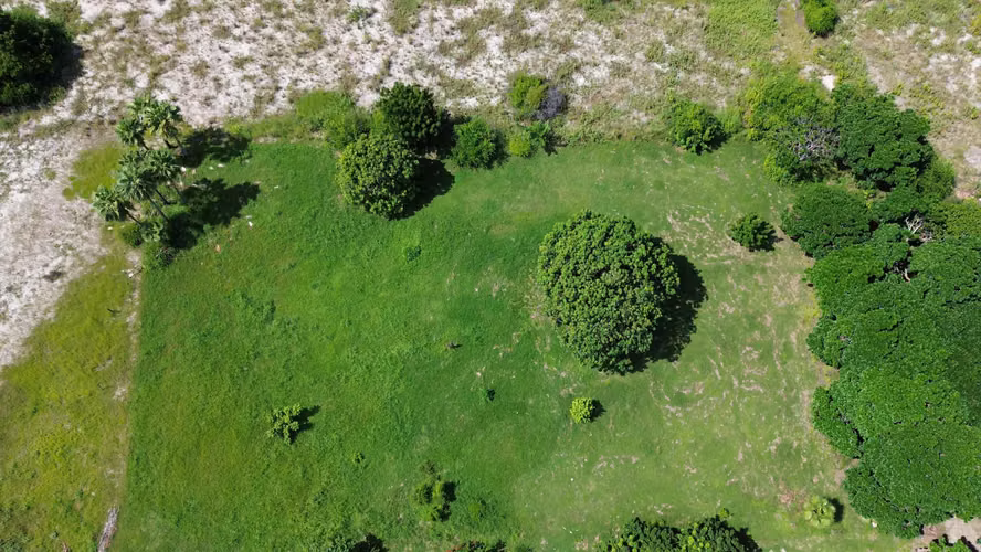 Terreno Costero de 1,505m² para Inversión en Punta Chame, Panamá - Imagen 3