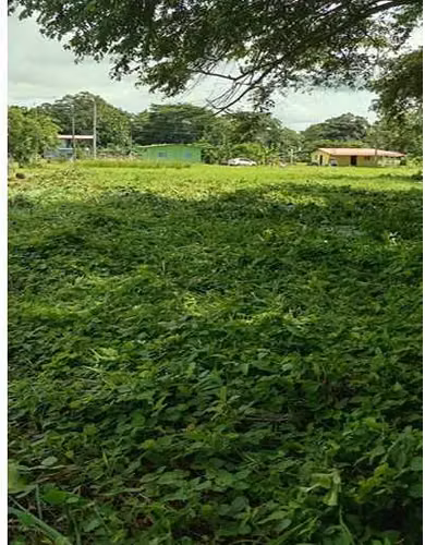 Se Vende Terreno - Puerto Armuelles- El Palmar