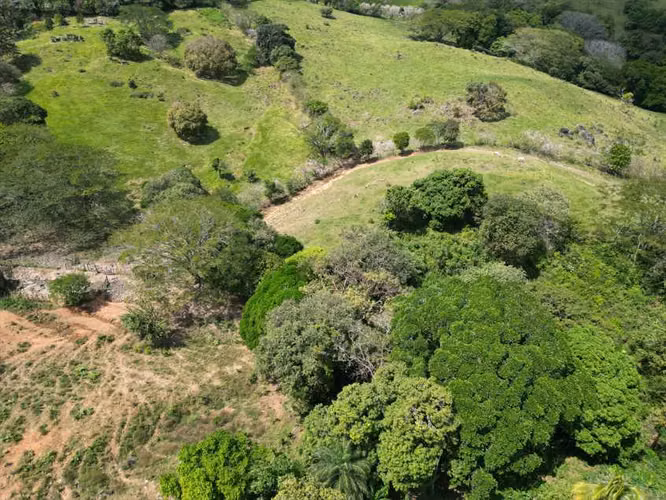 Venta de Finca en Campana, 300 Hectáreas2