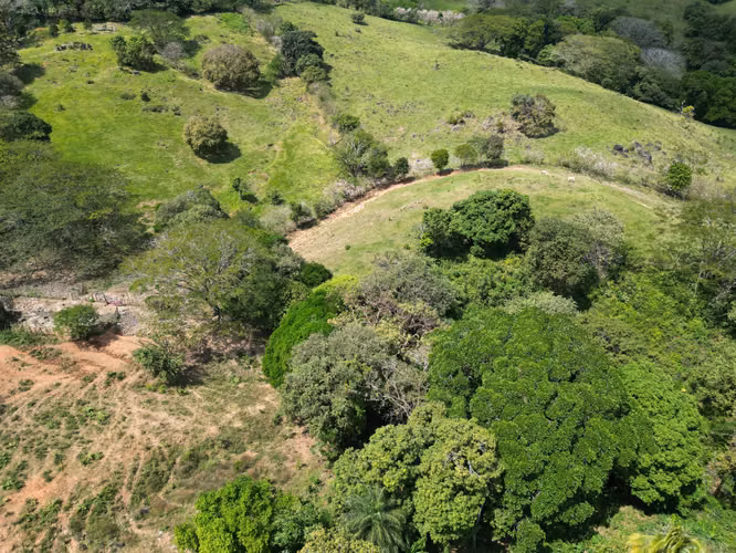 Venta de Finca en Campana, 300 Hectáreas2