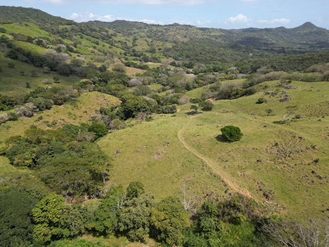 Venta de Finca en Campana, 300 Hectáreas2