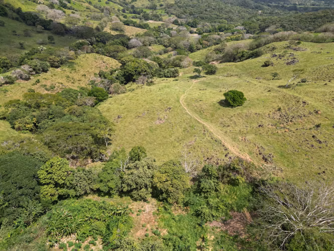 Venta de Finca en Campana, 300 Hectáreas2