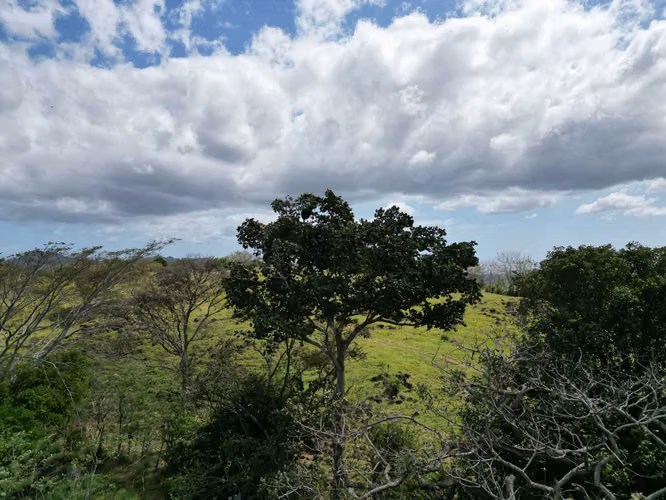 Venta de Finca en Campana, 300 Hectáreas2