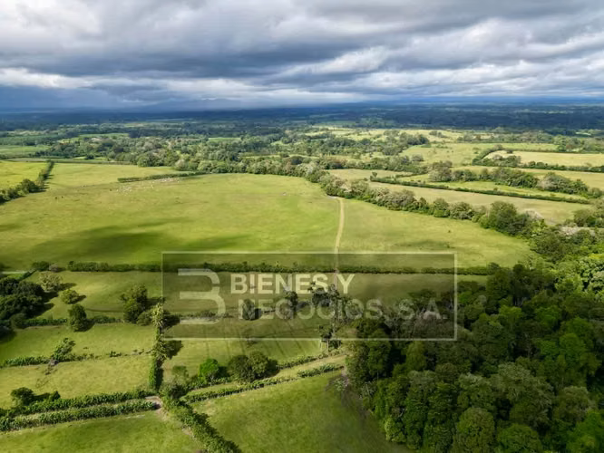 Finca en Chiriqui, Divala, 559 Hectáreas mecanizables