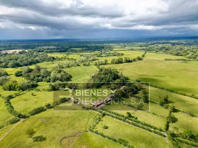 Finca en Chiriqui, Divala, 559 Hectáreas mecanizables