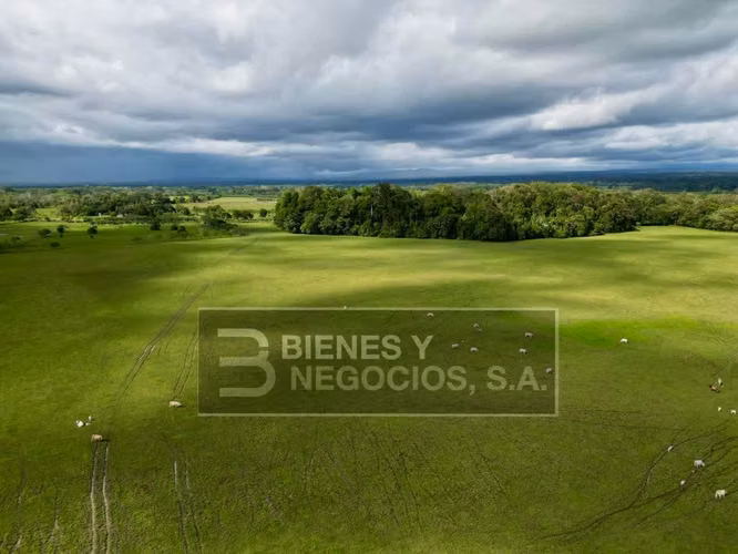 Finca en Chiriqui, Divala, 559 Hectáreas mecanizables