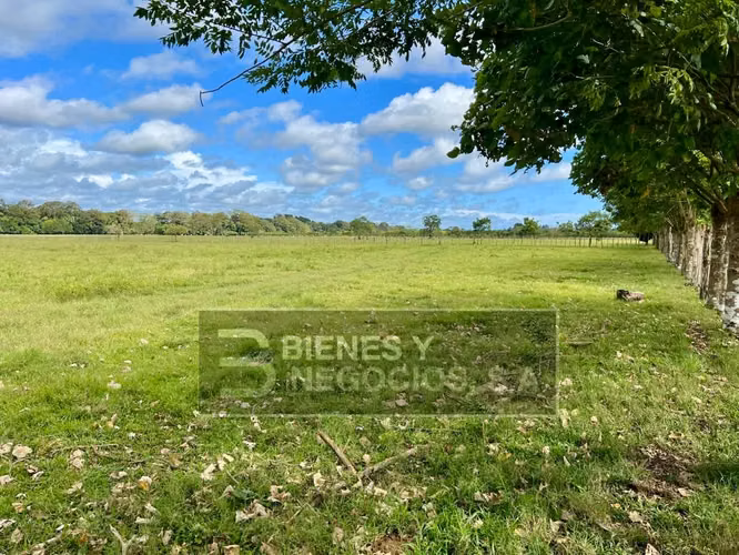 Finca en Chiriqui, Divala, 559 Hectáreas mecanizables
