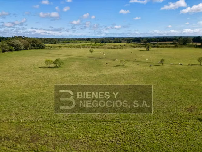 Finca en Chiriqui, Divala, 559 Hectáreas mecanizables