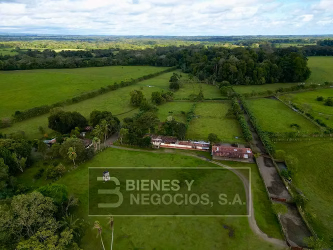 Finca en Chiriqui, Divala, 559 Hectáreas mecanizables
