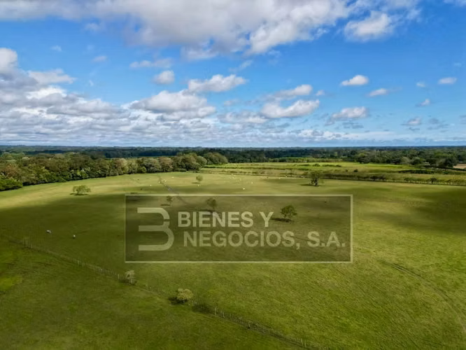 Finca en Chiriqui, Divala, 559 Hectáreas mecanizables
