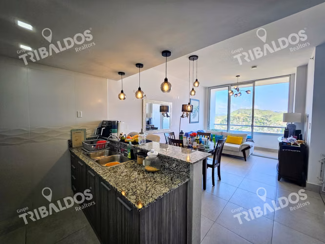 VENTA O ALQUILER DE APARTAMENTO EN PH GREENWOOD TOWER, TUMBA MUERTO