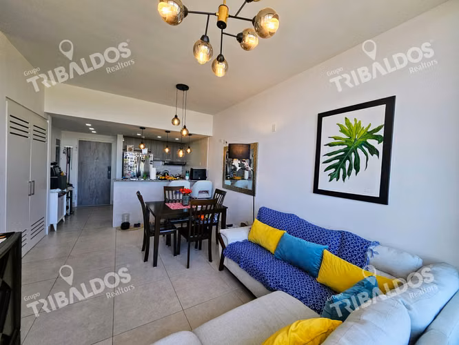 VENTA O ALQUILER DE APARTAMENTO EN PH GREENWOOD TOWER, TUMBA MUERTO