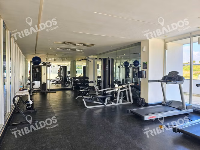 VENTA O ALQUILER DE APARTAMENTO EN PH GREENWOOD TOWER, TUMBA MUERTO