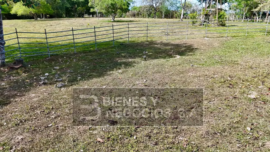 Finca en Chiriqui, Dolega, 119.6 hectáreas en Rovira