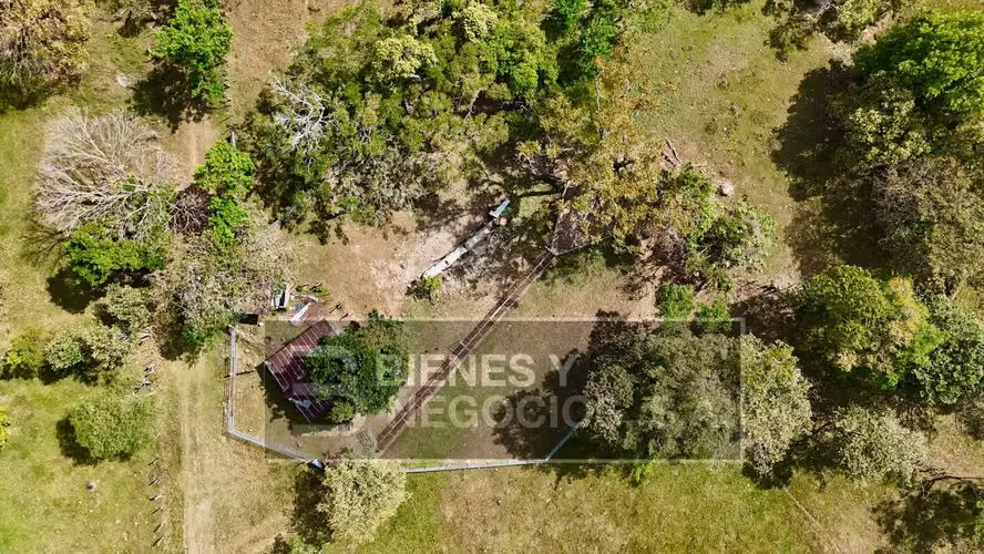 Finca en Chiriqui, Dolega, 119.6 hectáreas en Rovira