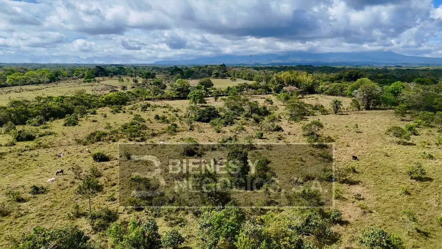 Finca en Chiriqui, Dolega, 119.6 hectáreas en Rovira