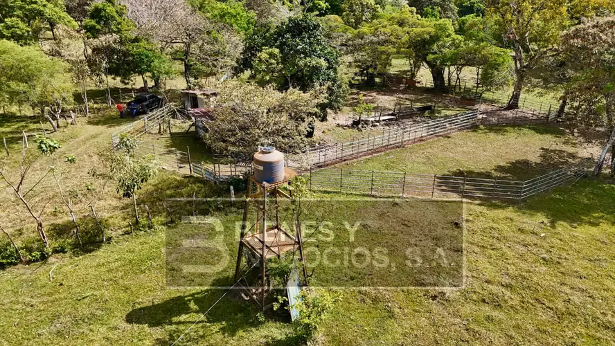 Finca en Chiriqui, Dolega, 119.6 hectáreas en Rovira