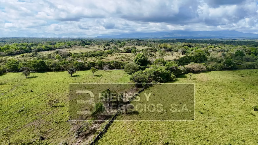 Finca en Chiriqui, Dolega, 119.6 hectáreas en Rovira