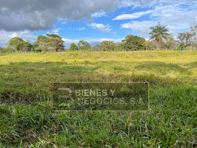 Finca en Chiriqui, Dolega, 119.6 hectáreas en Rovira