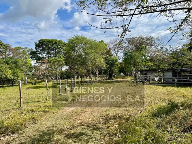 Finca en Chiriqui, Dolega, 119.6 hectáreas en Rovira