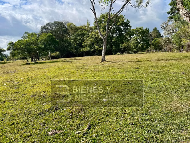 Finca en Chiriqui, Dolega, 119.6 hectáreas en Rovira