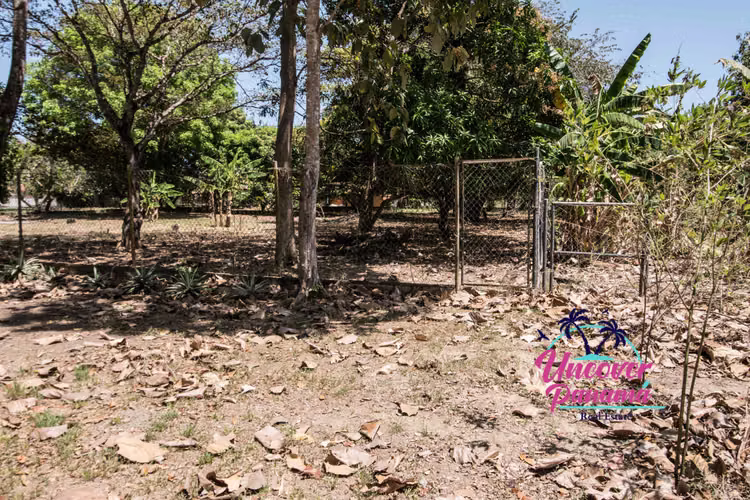 Terreno plano en Santa Clara Coclé.