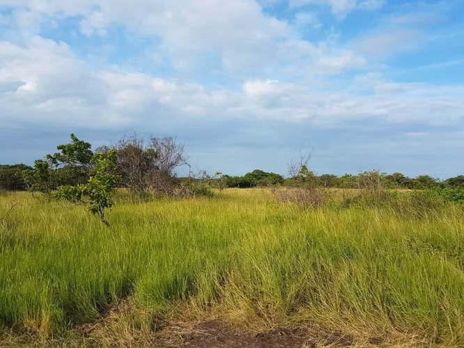 Terreno en Venta en Río Hato, Antón, Panamá – 43 Hectáreas