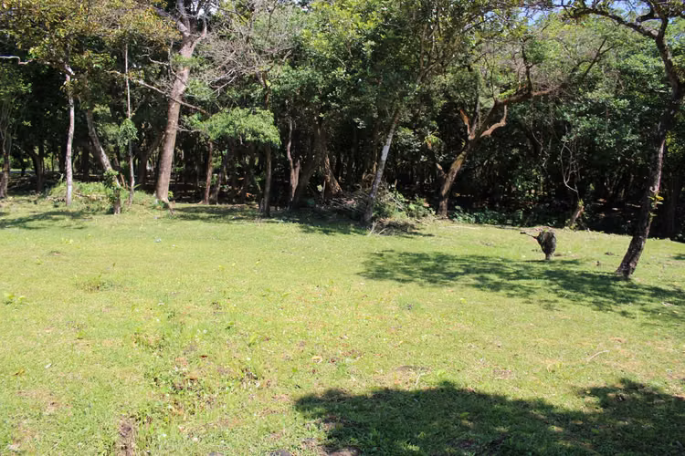 Se venden terrenos en el Valle de Antón.