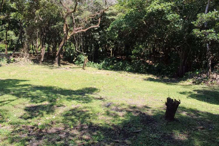 Lands for sale in El Valle de Antón.
