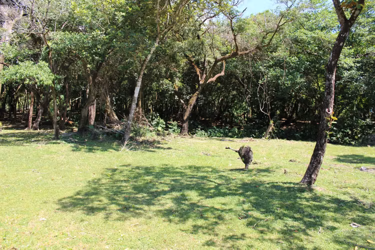 Se venden terrenos en el Valle de Antón.