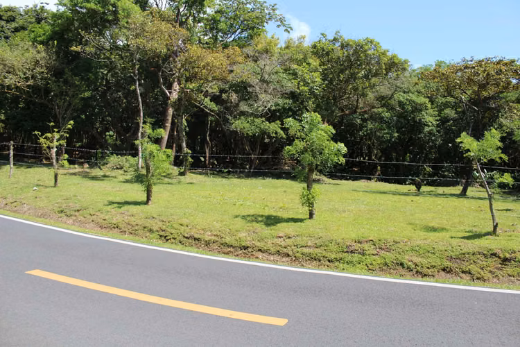 Se venden terrenos en el Valle de Antón.