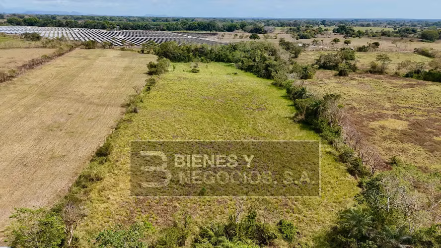 Finca en Chiriqui, Alanje 6.3 Hectareas en Canta Gallo - Imagen 2
