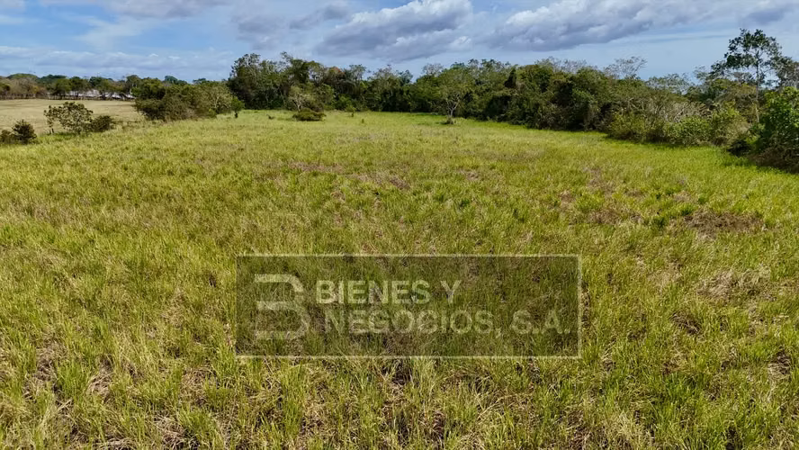 Land in Chiriqui, Alanje 15.68 acres in Canta Gallo