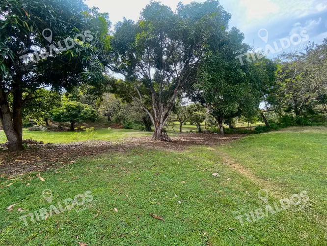 Venta de terreno en Punta Barco - Imagen 6