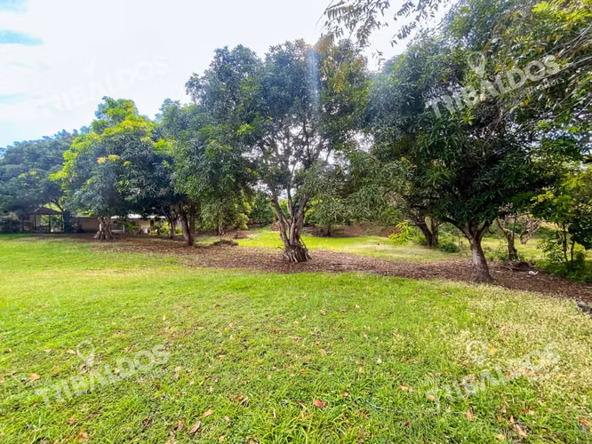 Venta de terreno en Punta Barco - Imagen 5