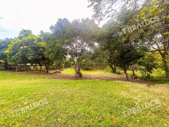 Venta de terreno en Punta Barco - Imagen 2