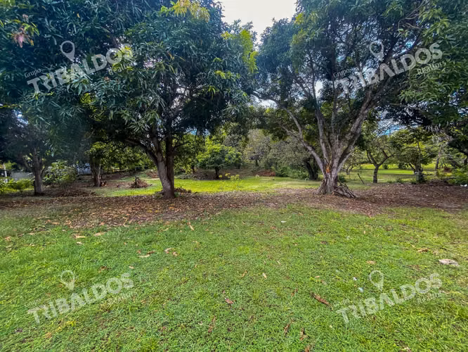 Venta de terreno en Punta Barco - Imagen 4